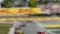 Formula 2