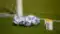 Women's UEFA Nations League